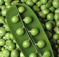 green peas